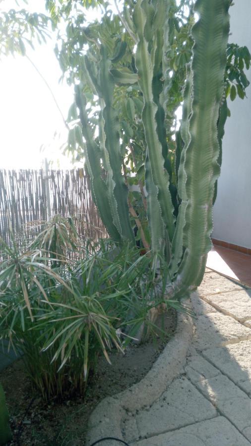 Apartamento Pardela Costa Adeje  Exterior foto